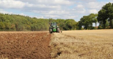 How to Start Your Ideal Farming Business