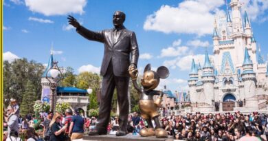 Why Disney Adventure Vacations are the Perfect Choice for Family Travel