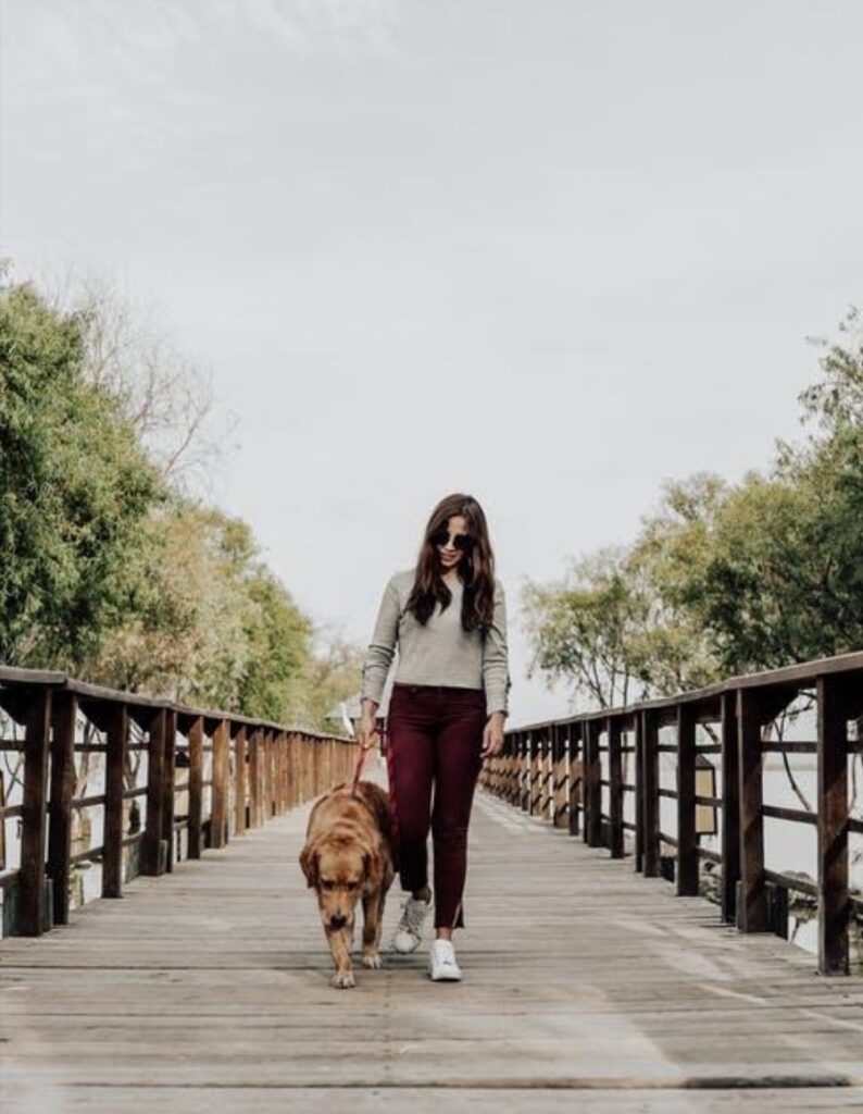 Keeping Your Furry Friends Safe With Essential Items on Your Pet Sitter Checklist