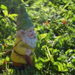 Creating a Magical Christmas Garden for Kids