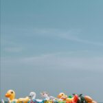 Innovative Ideas for Making Your Own Recycled Toys