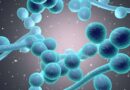 Candida Explained: Prevention Tactics and Recognising the Warning Signs for Healthier Living