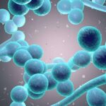 Candida Explained: Prevention Tactics and Recognising the Warning Signs for Healthier Living