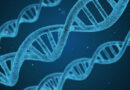 Unlock Genetic Information: Whole Exome Sequencing by MedGenome