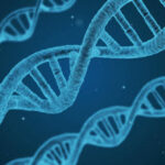 Unlock Genetic Information: Whole Exome Sequencing by MedGenome