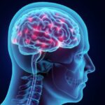 Taming the Trauma: How CBT Retrains Your Brain to Manage PTSD Symptoms