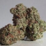 Exploring the 4 Different Types of Weed Flowers and Their Effects