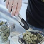 The Essential Guide to Finding a Dispensary Open Near You