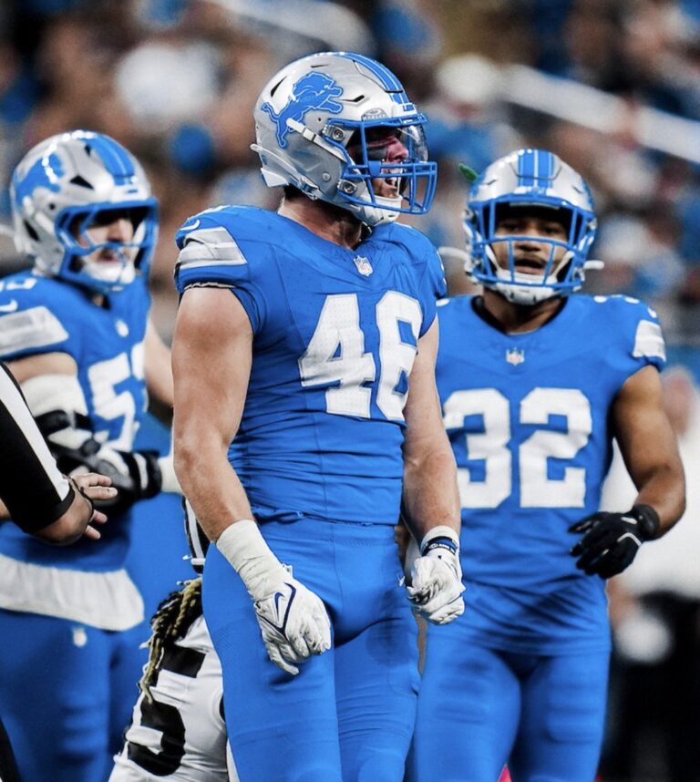 âGame Overâ: How Chaos and Controversy Ended the Lionsâ Playoff Push Against the Steelers