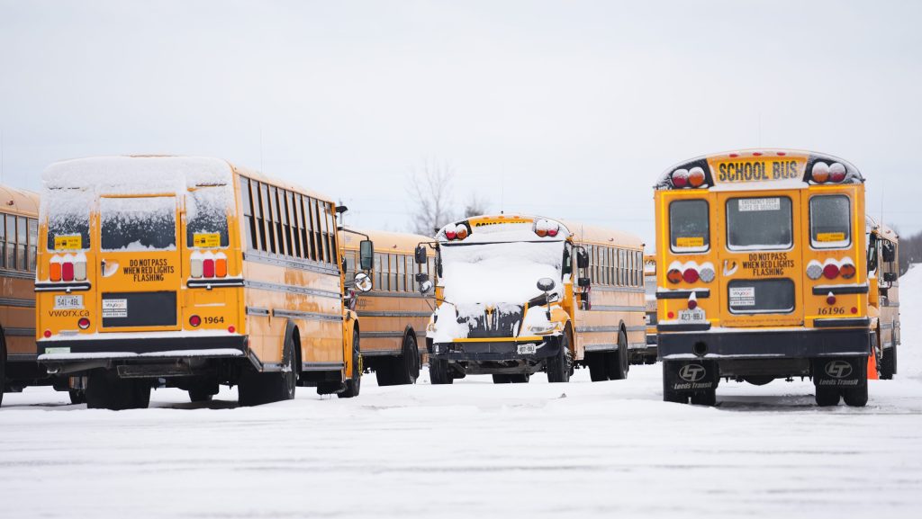 school bus related