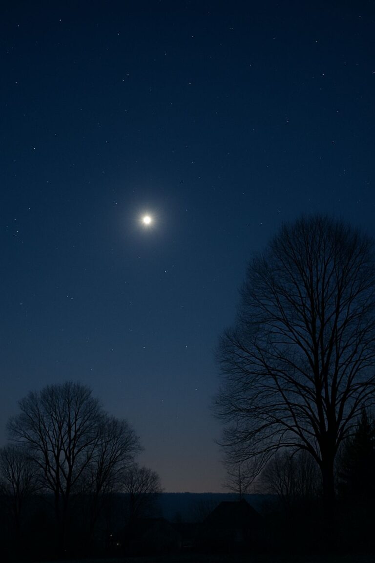 A Brilliant ‘Christmas Star’ Is Lighting Up the Sky This Month — Here’s Exactly When to Look