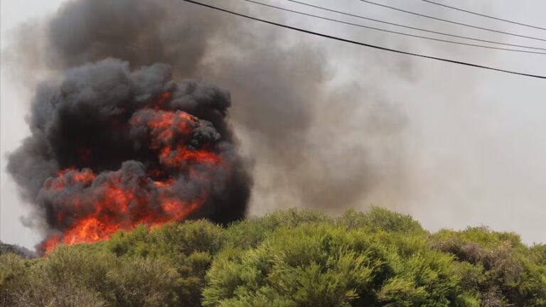 Fire Perth: Emergency Bushfire Warnings Issued for Gnangara, Landsdale and Bullsbrook