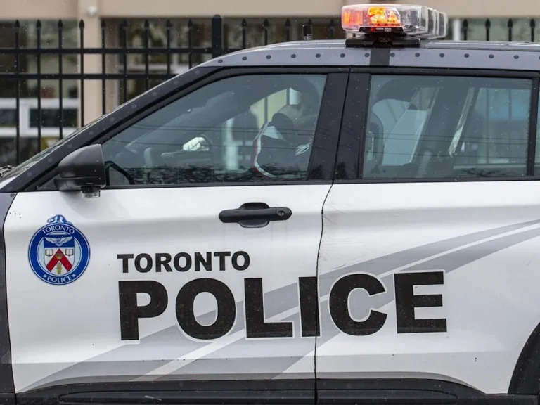 Eggs, Urine Bags and Punches: Toronto Police Detail Violent Protest Fallout
