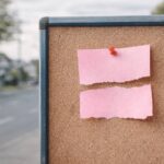 “They Thought She Was Dying”: Inside a Christchurch Woman’s Alleged Decade-Long Cancer Lie