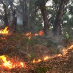 Fires Near Melbourne as Victoria’s Otways Bushfire Breaks Containment Lines in Extreme Heat