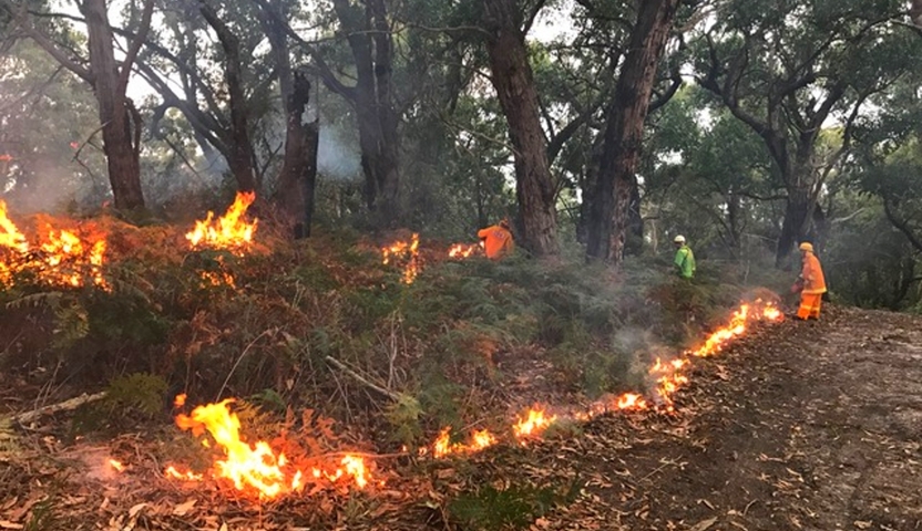 Fires Near Melbourne as Victoria’s Otways Bushfire Breaks Containment Lines in Extreme Heat