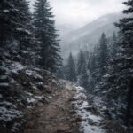 Solo New Year’s Day Hike Turns Deadly in Suspected Mountain Lion Attack in Colorado