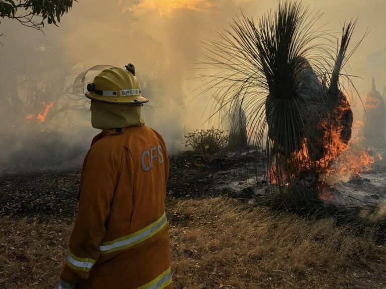 ‘Leave Now’: Uncontrolled Bushfire Pushes Toward Homes on South Australia’s Fleurieu Peninsula