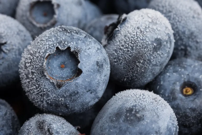 55,000+ Pounds of Frozen Blueberries Recalled Over Listeria Risk Across 4 States