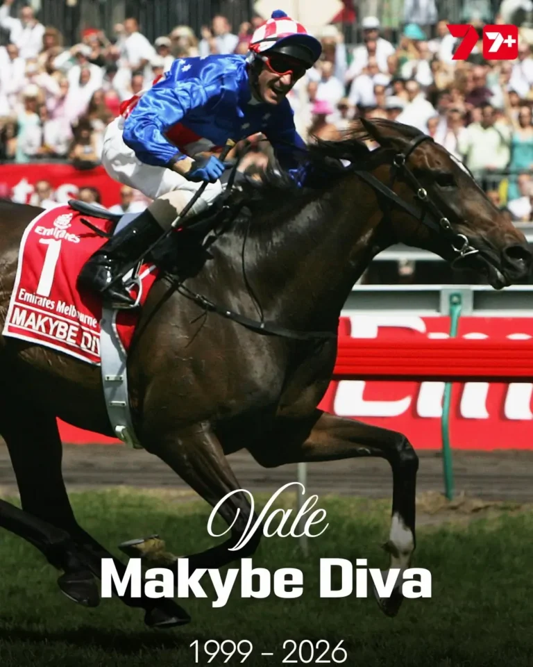 Makybe Diva Dies Aged 26: Three-Time Melbourne Cup Champion Farewelled