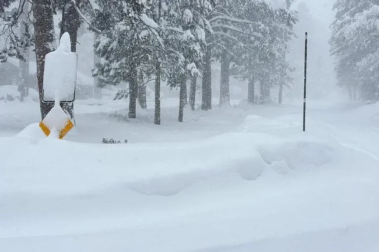 Sierra Nevada Avalanche Disaster: 8 Confirmed Dead Near Lake Tahoe as Search Continues for Missing Skier