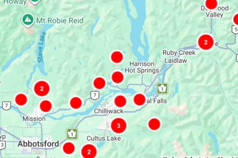 BC Hydro Reports 11,000 Without Power as 100 km/h Windstorm Hits Fraser Valley