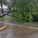 Tropical Cyclone Narelle Intensifies Off Western Australia Coast, Category 5 Threat Looms