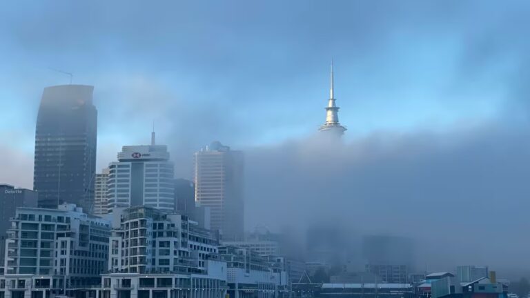 Auckland Airport Cancels 20+ Flights as Dense Fog Triggers Travel Chaos Across City
