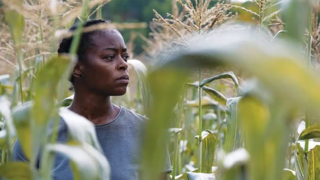 North of North Hits 20 Nominations, Heated Rivalry Gains 18 in Canadian Screen Awards 2026