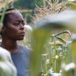 North of North Hits 20 Nominations, Heated Rivalry Gains 18 in Canadian Screen Awards 2026