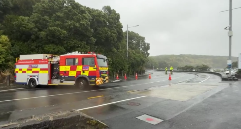 Auckland Shock: Suitcase-Sized Rocks Crash Onto Tāmaki Drive, Road Shut After Cliff Fall