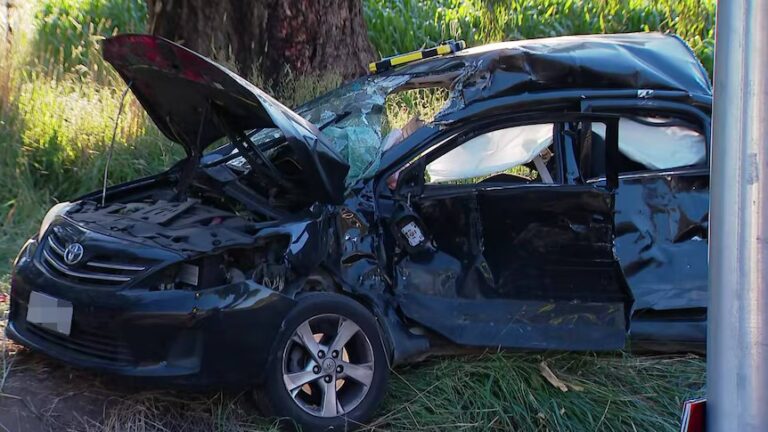 Adelaide Hills Crash: 2 Critical After Car-Truck Collision Near Birdwood, Roads Shut