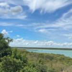 Light Plane Crash in Crocodile Waters Near Broome Leaves 7 Injured