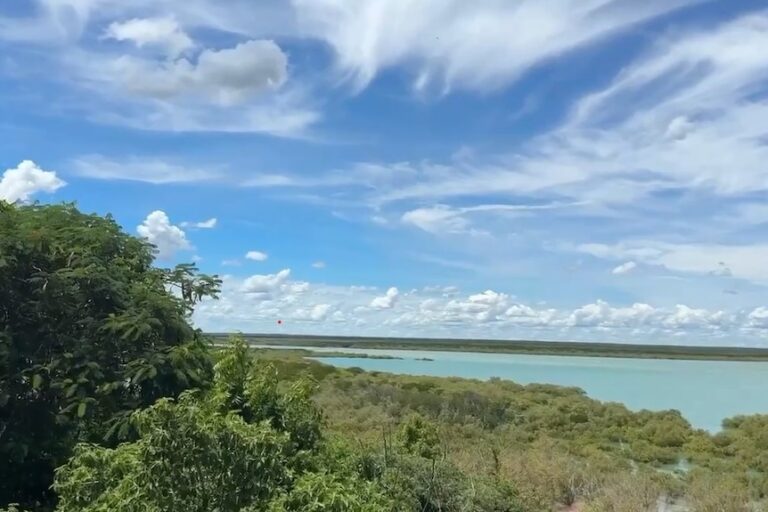 Light Plane Crash in Crocodile Waters Near Broome Leaves 7 Injured