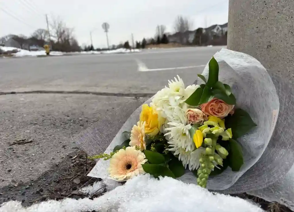 Ottawa Crossing Guard Killed in Hit-and-Run Crash: Ford F-150 Driver Sought