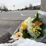 Ottawa Crossing Guard Killed in Hit-and-Run Crash: Ford F-150 Driver Sought