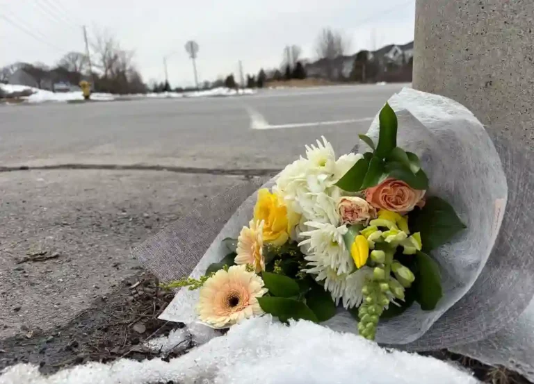 Ottawa Crossing Guard Killed in Hit-and-Run Crash: Ford F-150 Driver Sought