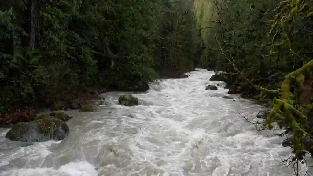 Fraser Valley Flood Alert: 30 Properties Under Evacuation Warning as 120mm Rain Raises Landslide Risk