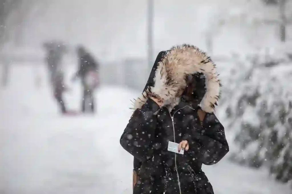 Alberta Snowstorm Alert: Up to 25 cm Snowfall and –40°C Wind Chill Forecast
