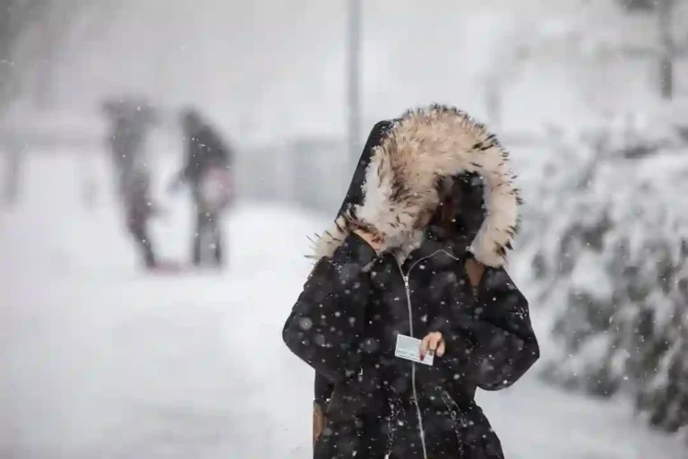 Alberta Snowstorm Alert: Up to 25 cm Snowfall and –40°C Wind Chill Forecast