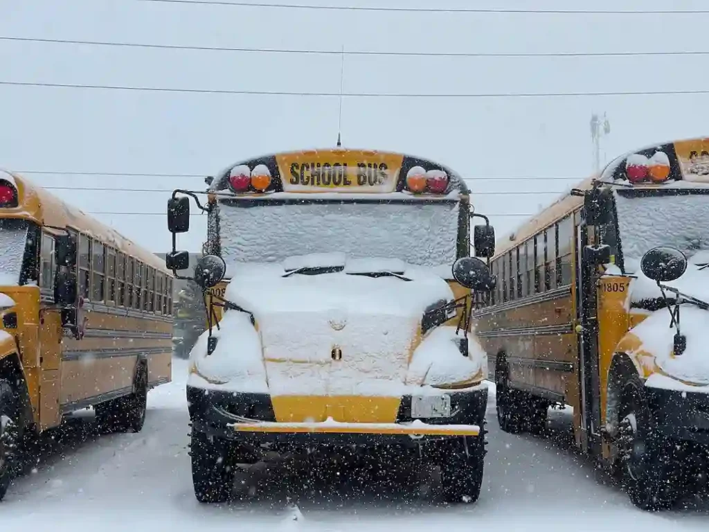 Sudbury School Bus Routes Rolling Again, City Eyes Landfill Reopening After Snowstorm Chaos