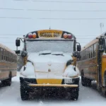 Sudbury School Bus Routes Rolling Again, City Eyes Landfill Reopening After Snowstorm Chaos