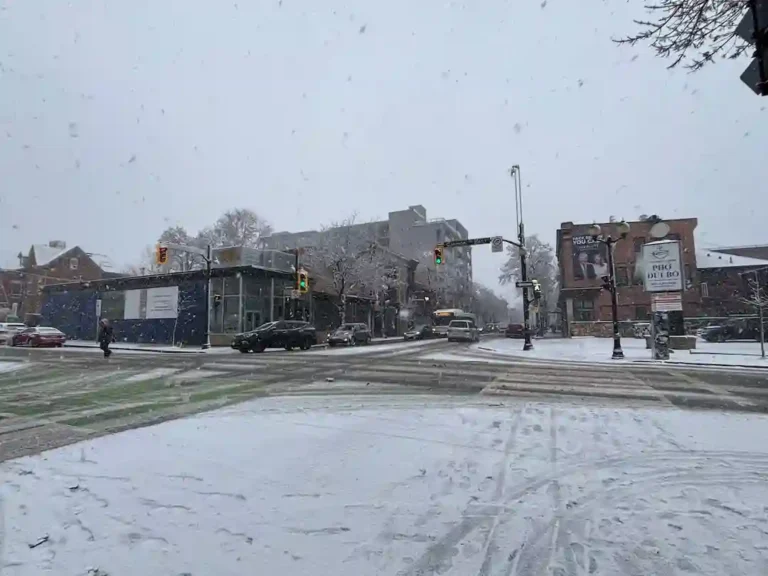 Hamilton, Niagara Hit by Snow as 110 km/h Winds Trigger Travel Warnings and Power Outage Risk