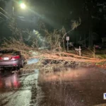 Alabama Storm Damage Blocks Highways After Gulf Coast Storms as EF-0 Tornado Confirmed