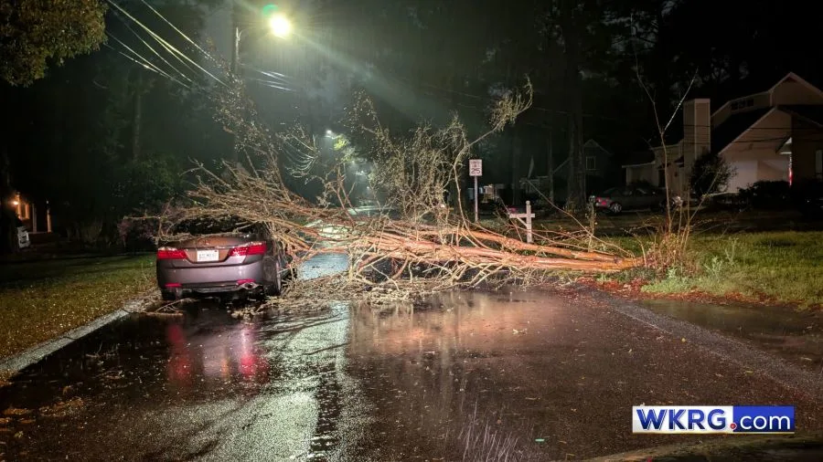 Alabama Storm Damage Blocks Highways After Gulf Coast Storms as EF-0 Tornado Confirmed