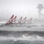Sydney Airport Chaos: Flights Cancelled as 110 km/h Winds Slam City