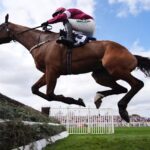 Gold Dancer Dies After Aintree Win as Grand National Festival Incident Sparks Welfare Debate