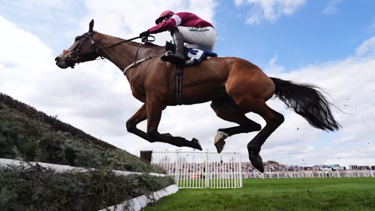 Gold Dancer Dies After Aintree Win as Grand National Festival Incident Sparks Welfare Debate