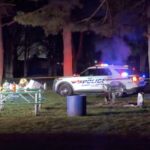 Eisenhower Park Shooting on Long Island Kills Teen as 2 Others Undergo Surgery