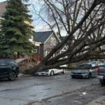 Wisconsin Weather Alert: 51,000+ Without Power After Violent Storms, Tornado Threat Continues